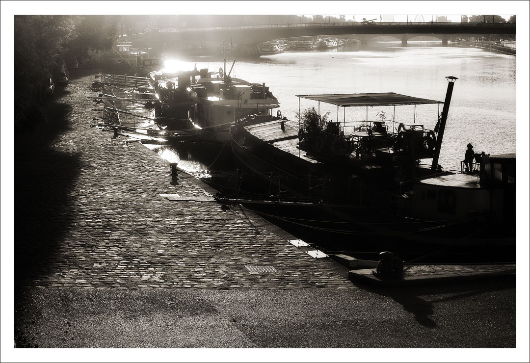 Seine_DSC2600 La Seine est un lieu de vie dense et varié