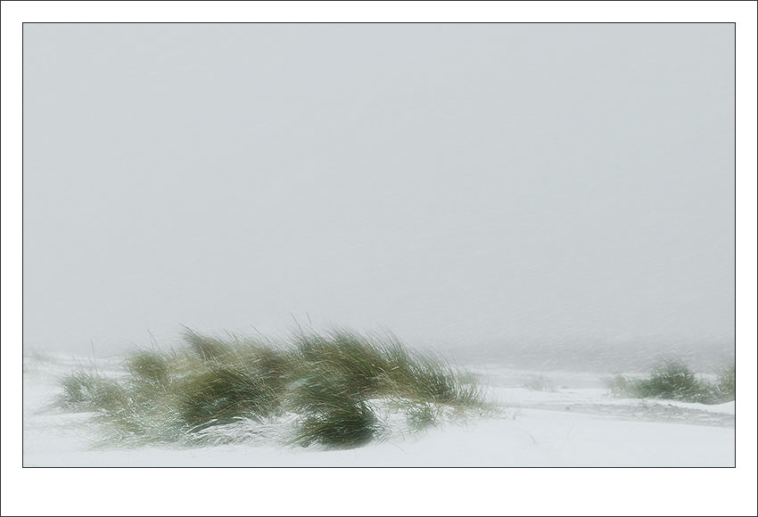 dunes dans la tempête
