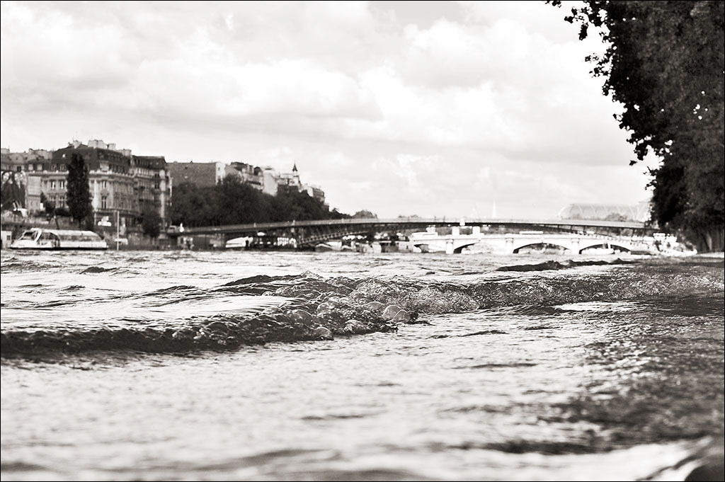 La Seine en crue. Mai 2013