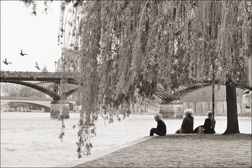 La Place du Vert Galant vis-à-vis du Pont des Arts est un bien endroit pour rêver