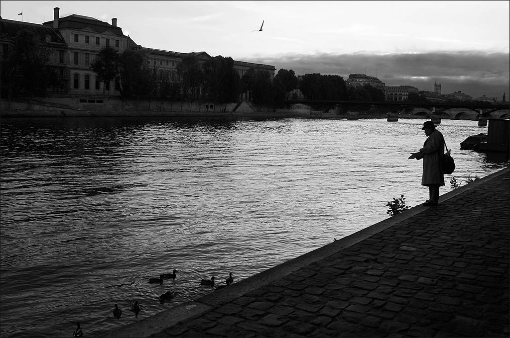 appâter les canards de la Seine. Port des Saints-Pères.