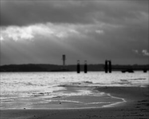 au contre-jour