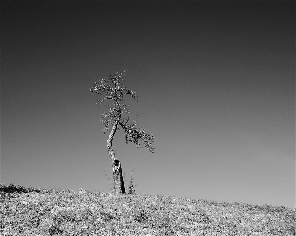 solitaire. Aalen, Souabe, 2015.