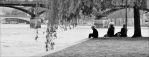 Sur le square du Vert-Galant. Paris 1er.