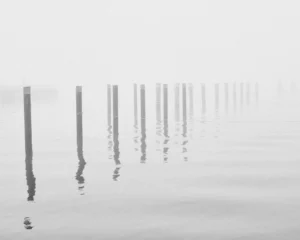 montants au brume