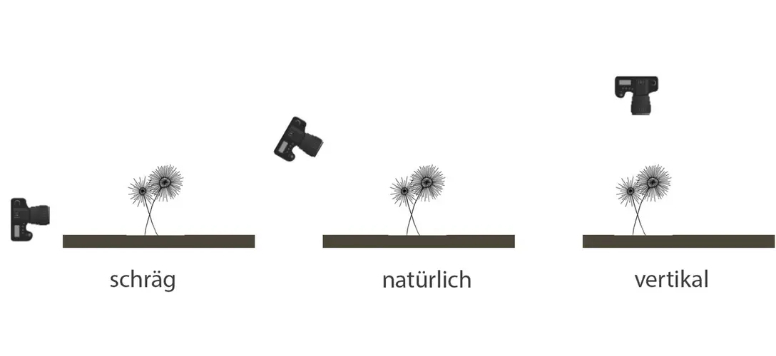POV-Schema