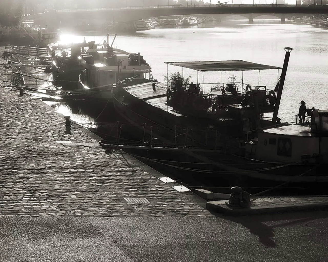 une matinée estivale aux bords de la Seine