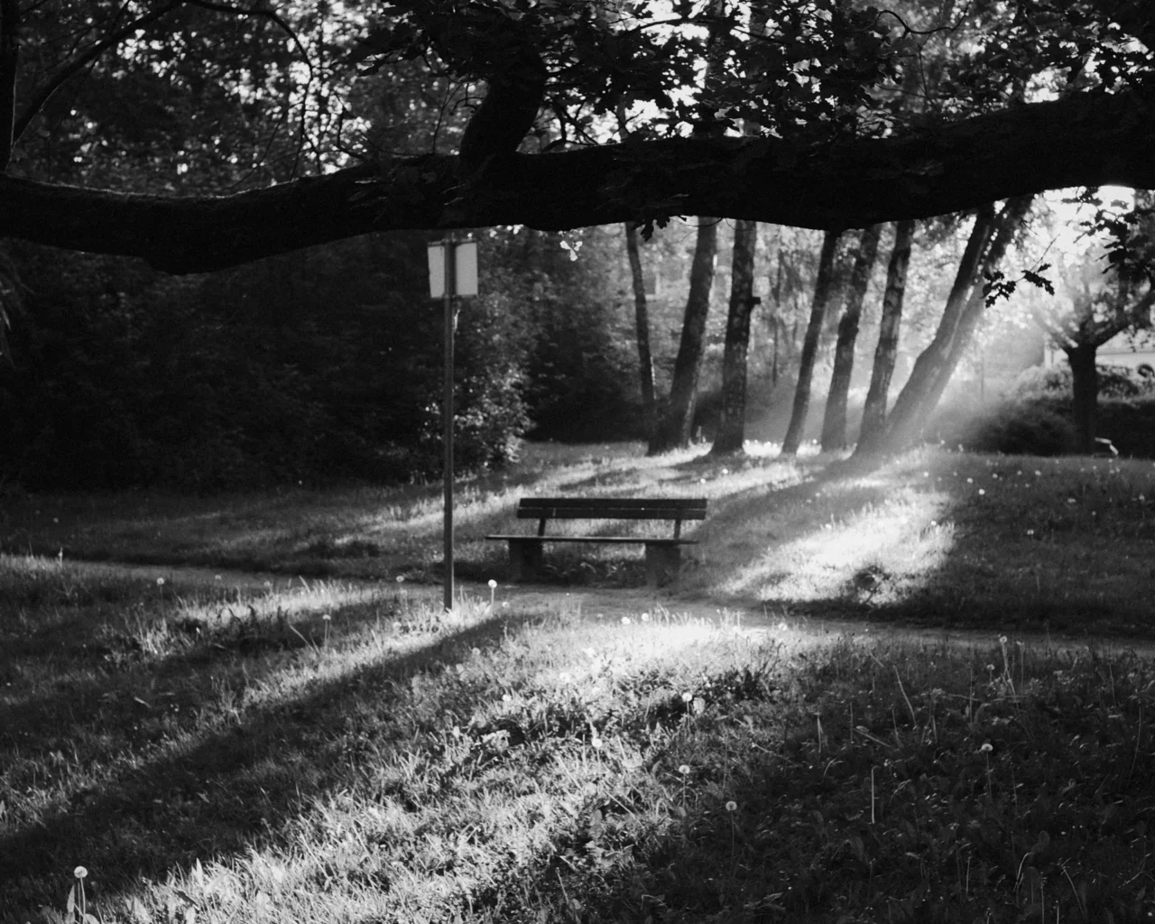 un rayon de soleil au petit matin