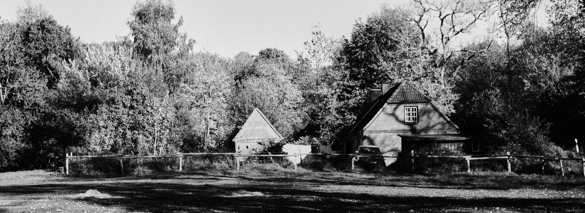 la domaine en automne