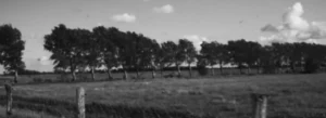 Zu einem Fotografen werden – XII – Erkl&auml;r es Dir