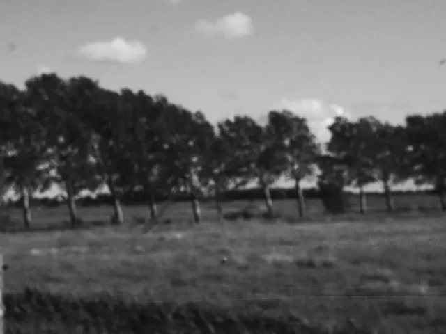 Zu einem Fotografen werden – XII – Erkl&auml;r es Dir